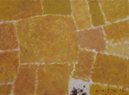 Sommerfelder II, 2008, 60 x81cm